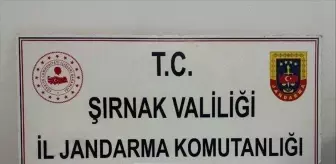 Şırnak'ta Kaçakçılık Operasyonunda 86 Gözaltı, 1 Tutuklama