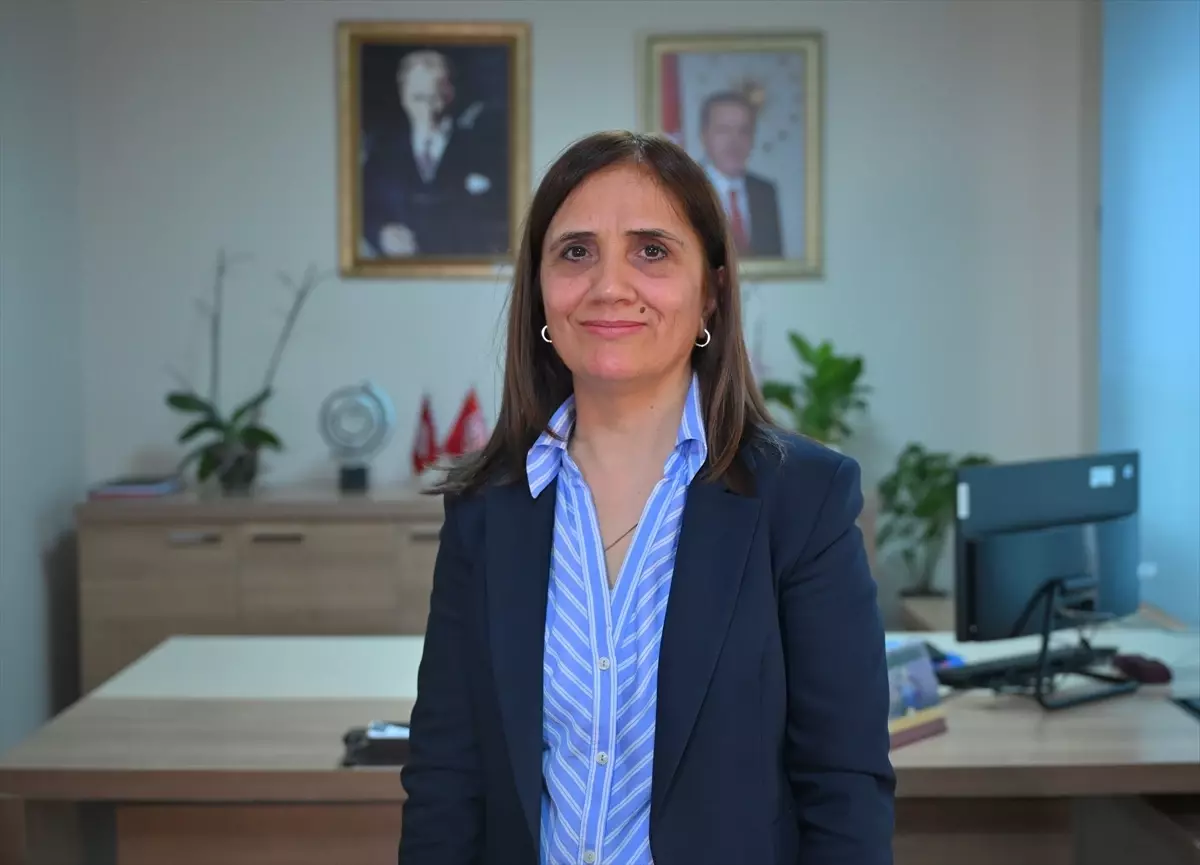 Şiddet Önleme ve İzleme Merkezleri: Kadına Yönelik Şiddete Karşı Etkili Mücadele