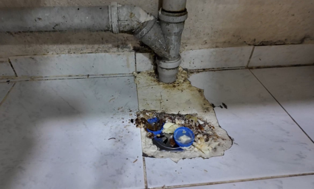 Disgusting images in the sweet factory: This place is filthy