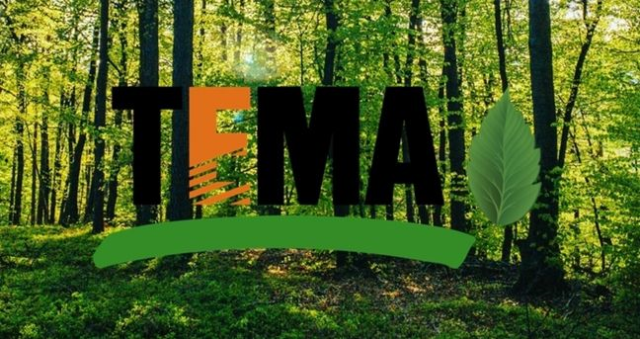 TEMA Vakfı ne iş yapar? TEMA Vakfı ne zaman kuruldu? TEMA Vakfı ne iş yapar? TEMA Vakfı ne zaman kuruldu?