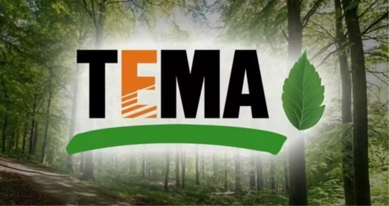 TEMA Vakfı ne iş yapar? TEMA Vakfı ne zaman kuruldu?