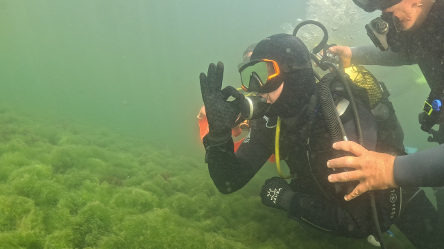 The mayor wore a diver's suit and went underwater: The scene he saw surprised him