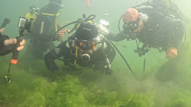 The mayor wore a diver's suit and went underwater: The scene he saw surprised him