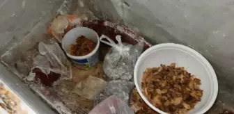 Devrek'te sağlığa uygunsuz pide imalatı yapan iş yeri mühürlendi