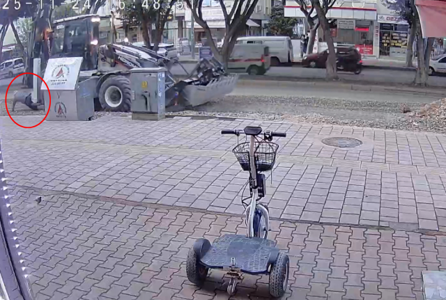 The elderly man who went out to buy bread was crushed under the excavator