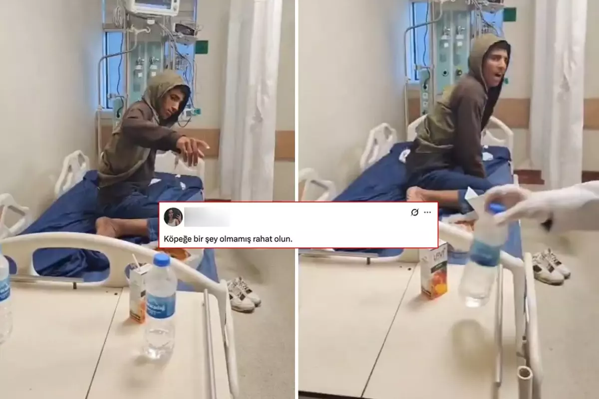 Kuduzdan hayatını kaybeden genç için yapılan yoruma tepki yağıyor