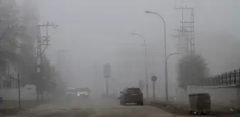 Muş'ta Sis Etkili, Görüş Mesafesi Azaldı