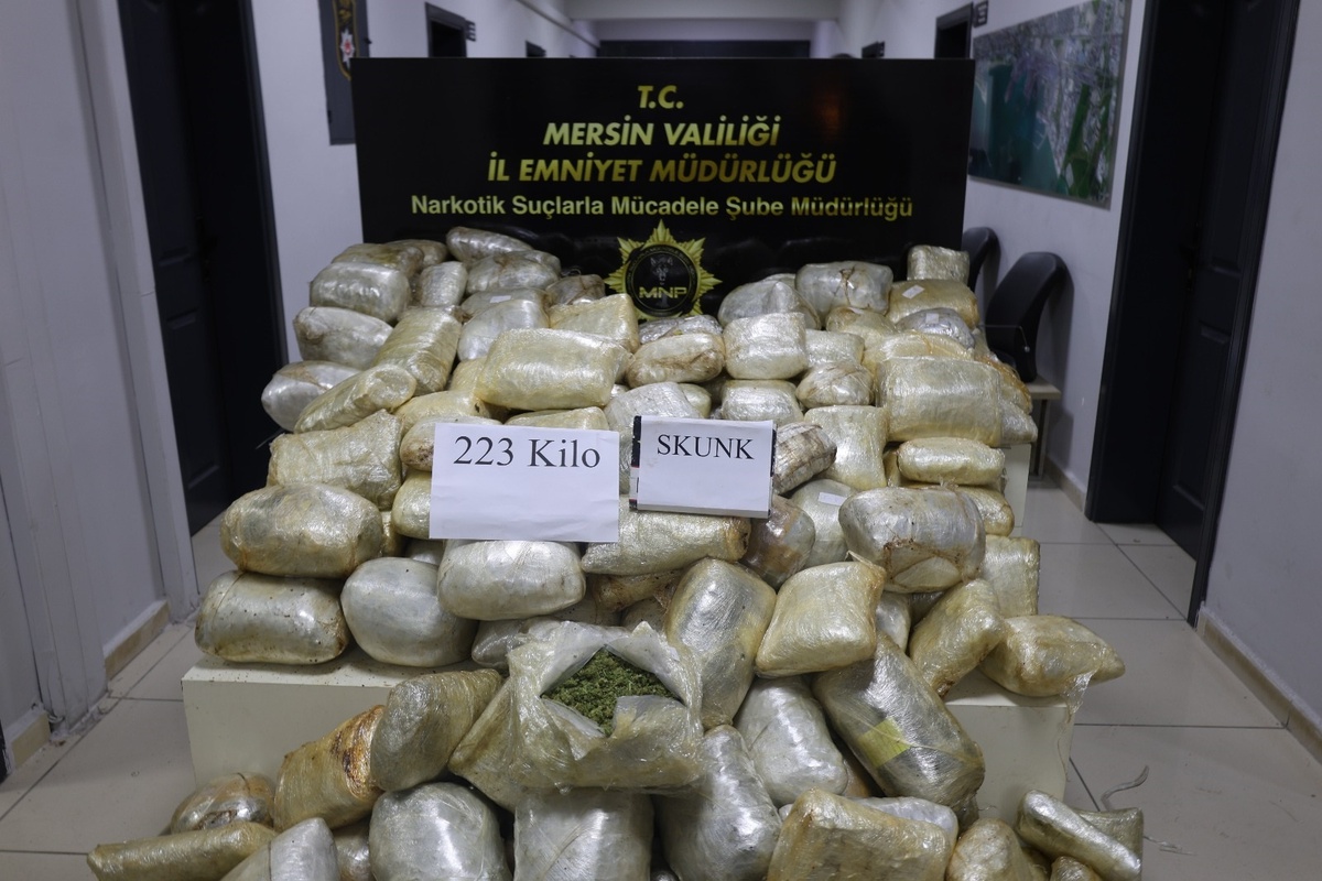 Mersin'de TIR'da 223 Kilogram Skunk Ele Geçirildi