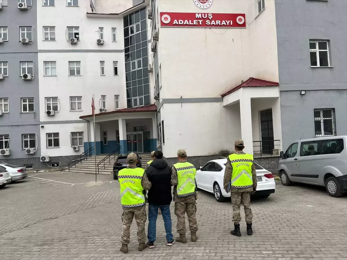 Muş'ta Hırsızlık Suçundan Aranan Hükümlü Yakalandı