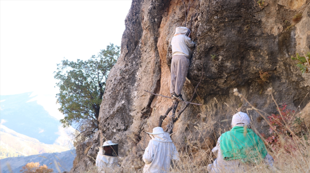 ozel izinle bolgeye giriliyor kilosu 7 bin tl 19289384 444 m
