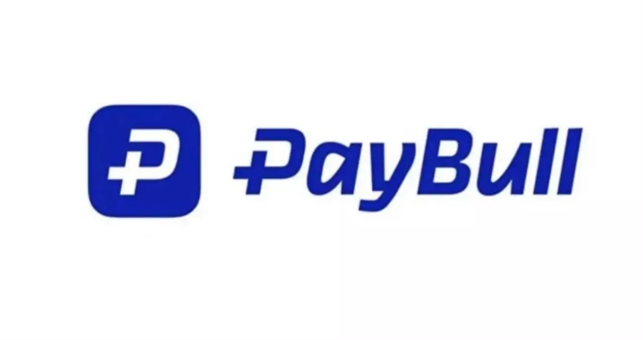 PayBull kimin? PayBull ne iş yapar? PayBull kayyum mu atandı?