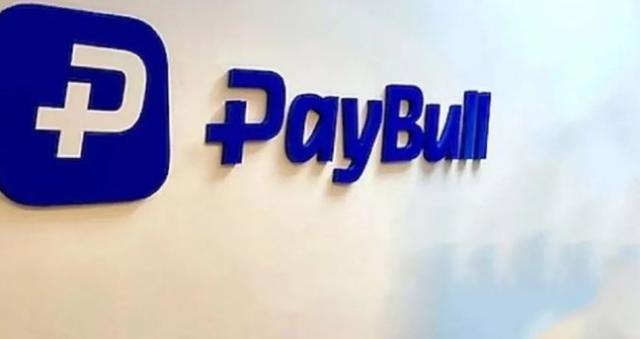 PayBull kimin? PayBull ne iş yapar? PayBull kayyum mu atandı?