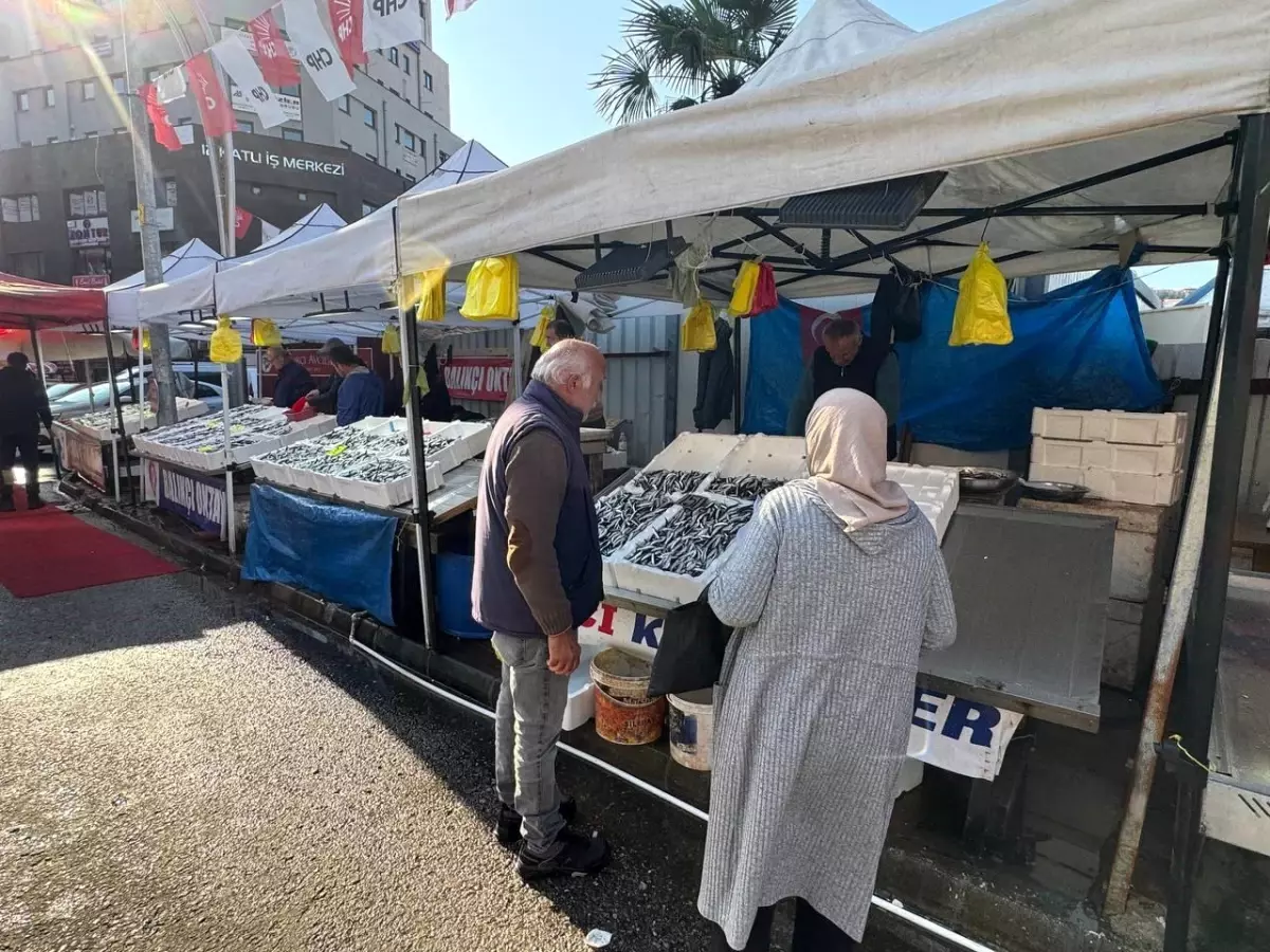 Zonguldak'ta Hamsi Sezonu Sonlanıyor, Farklı Balık Türlerine Yönelim Başladı