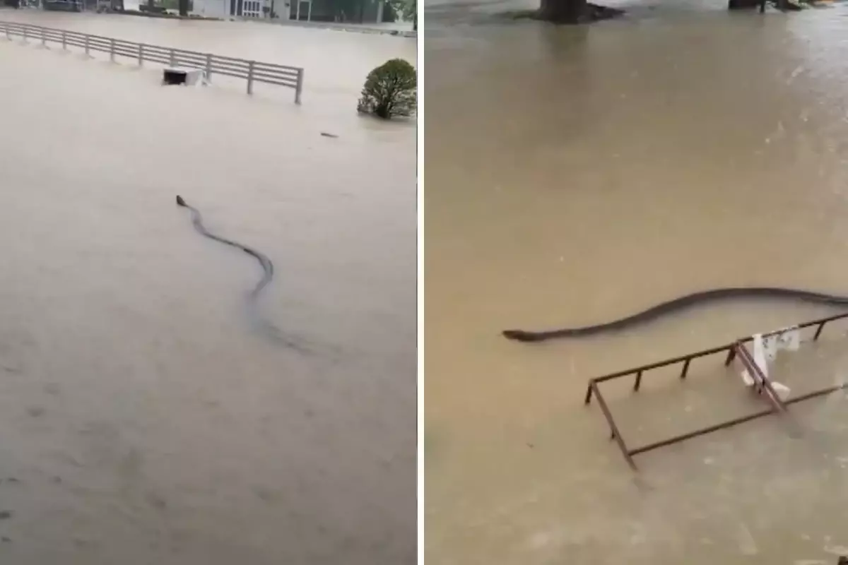 Devasa boyutlarda! Selin vurduğu ülkeden kabus görüntüleri