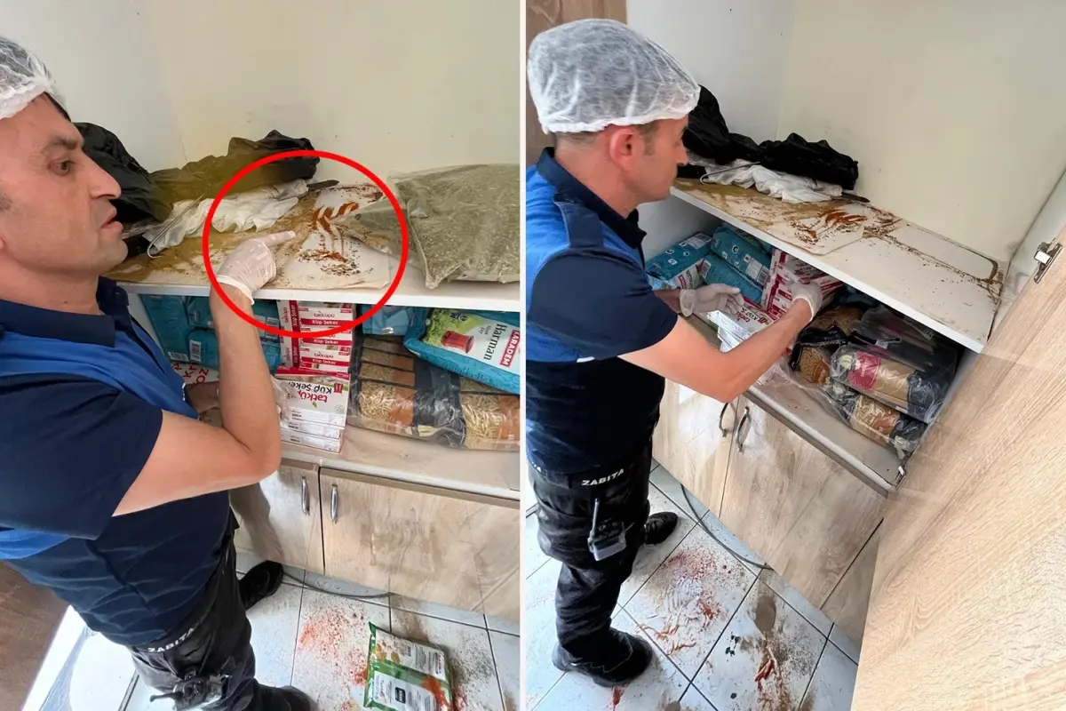 Devrek'te bir rezil görüntü daha! Dolaplar fare pisliklerinden geçilmiyor