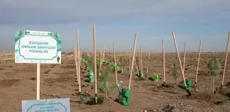 Eskişehir'de 'Her Öğrenci Bir Fidan Projesi' kapsamında fidanlar toprakla buluşturuldu
