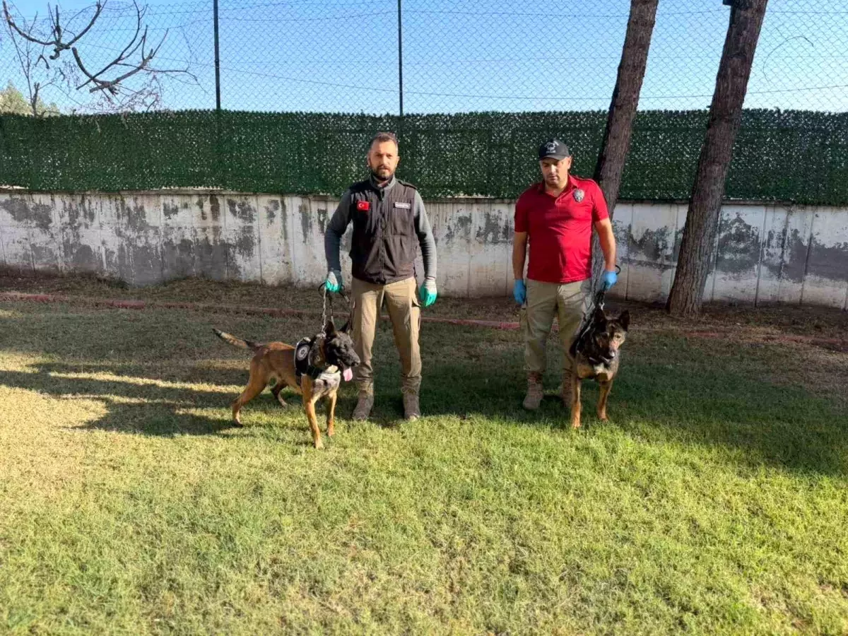 Batman'ın Narkotik Köpekleri Hector ve Mailo, Uyuşturucu ile Mücadelede Başarı Hikayesi Yazıyor