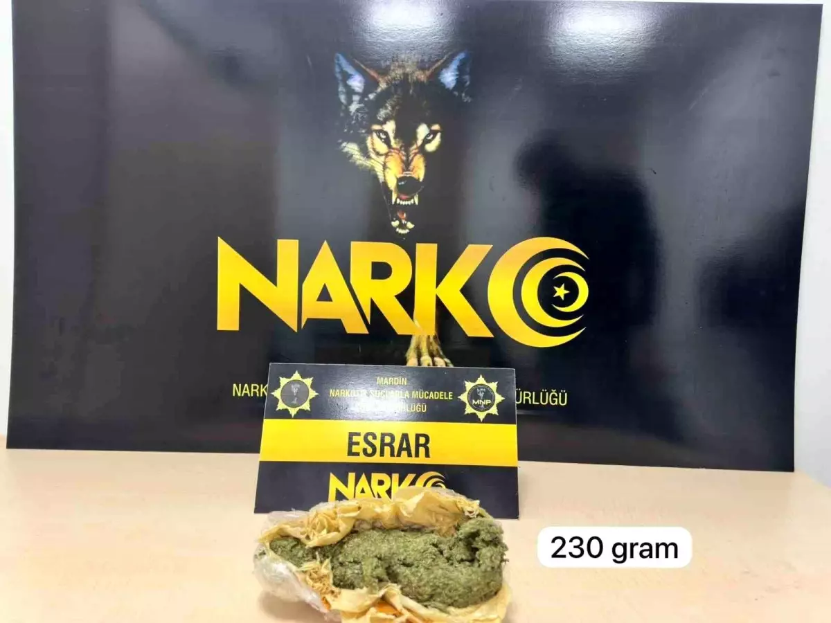 Mardin'de Uyuşturucu Operasyonu: 2 Gözaltı