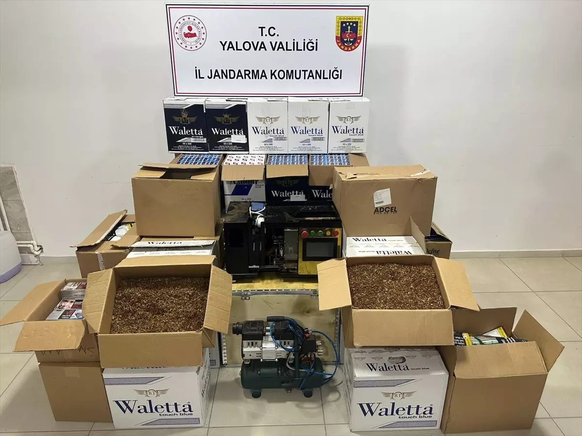 Yalova'da Kaçakçılık Operasyonu: 159 Bin Makaron ve 238 Kilogram Tütün Ele Geçirildi