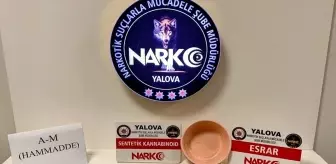 Yalova'da Uyuşturucu Operasyonları: 12 Tutuklama