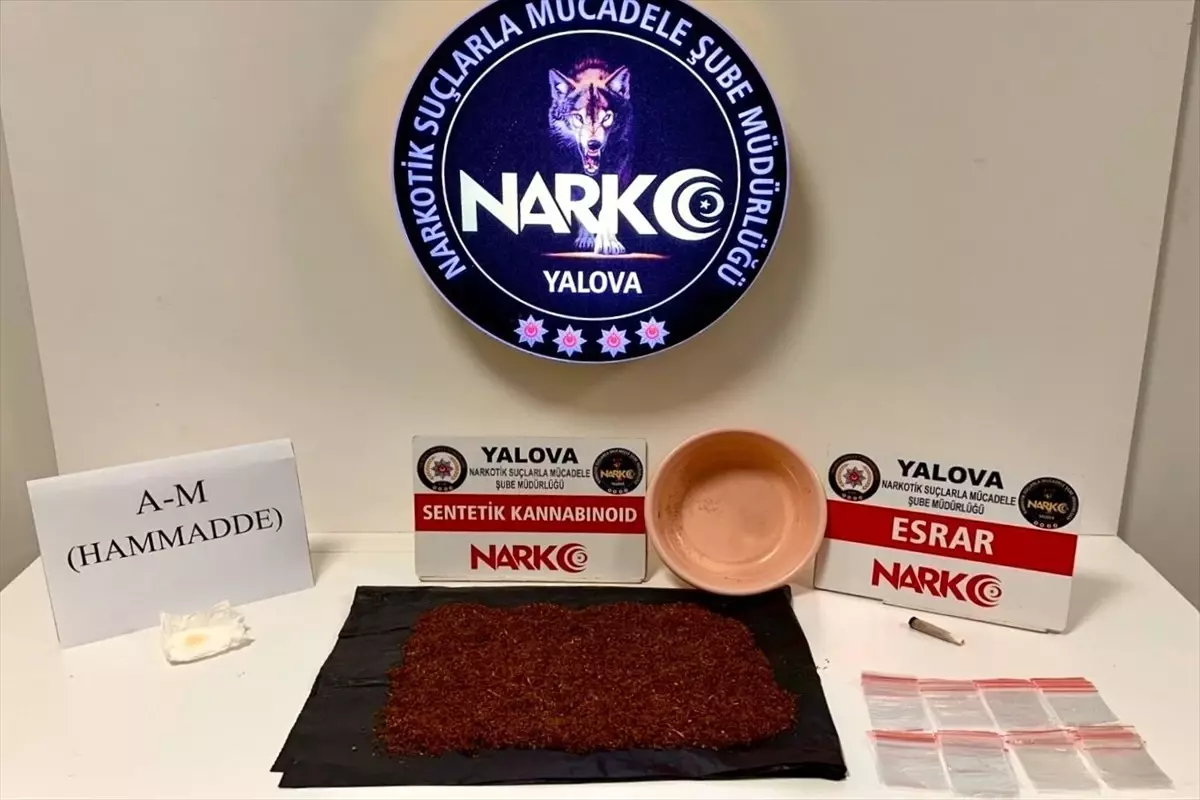 Yalova'da Uyuşturucu Operasyonları: 12 Tutuklama
