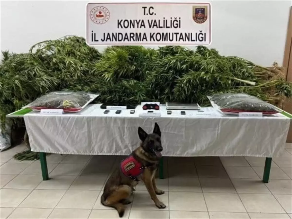 Konya'da Uyuşturucu Operasyonunda İki Kişiye Hapis Cezası, Avukat Beraat Etti