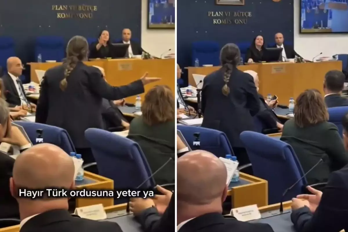 DEM Partili vekilin "Tecavüz" iddiası Türkeş'in kızını küplere bindirdi