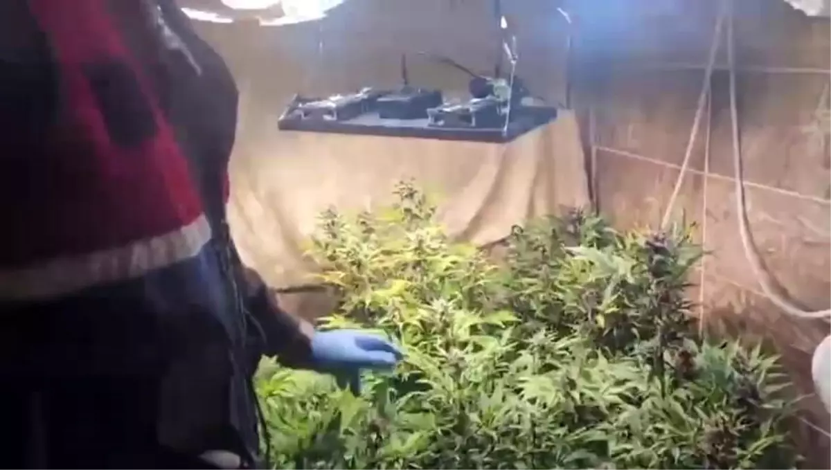 Sakarya'da Uyuşturucu İmalathanesine Operasyon: İki Şüpheli Gözaltında