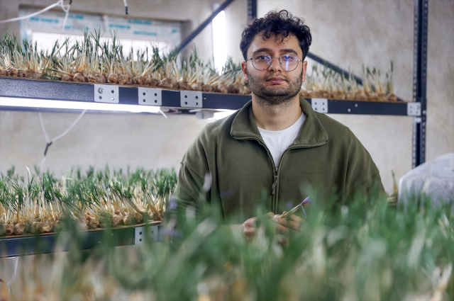 A Young Agricultural Engineer in Konya Sets an Example for Farmers with Saffron Production