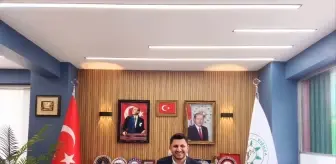 Yığılca'da Gök Taşı Düştü İddiası: Araştırma Başlatıldı