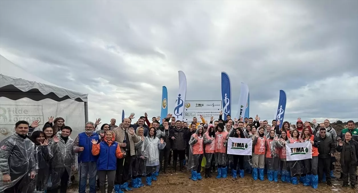 Çanakkale'de 20 Bin Fidan Dikildi: '81 İlde 81 Orman' Projesi Yeniden Başlatıldı