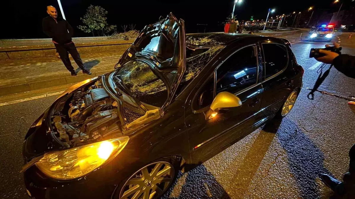 Rize'de Halı Saha Maçını İzlemeye Giden Genç, Araç Çarpıp Hayatını Kaybetti