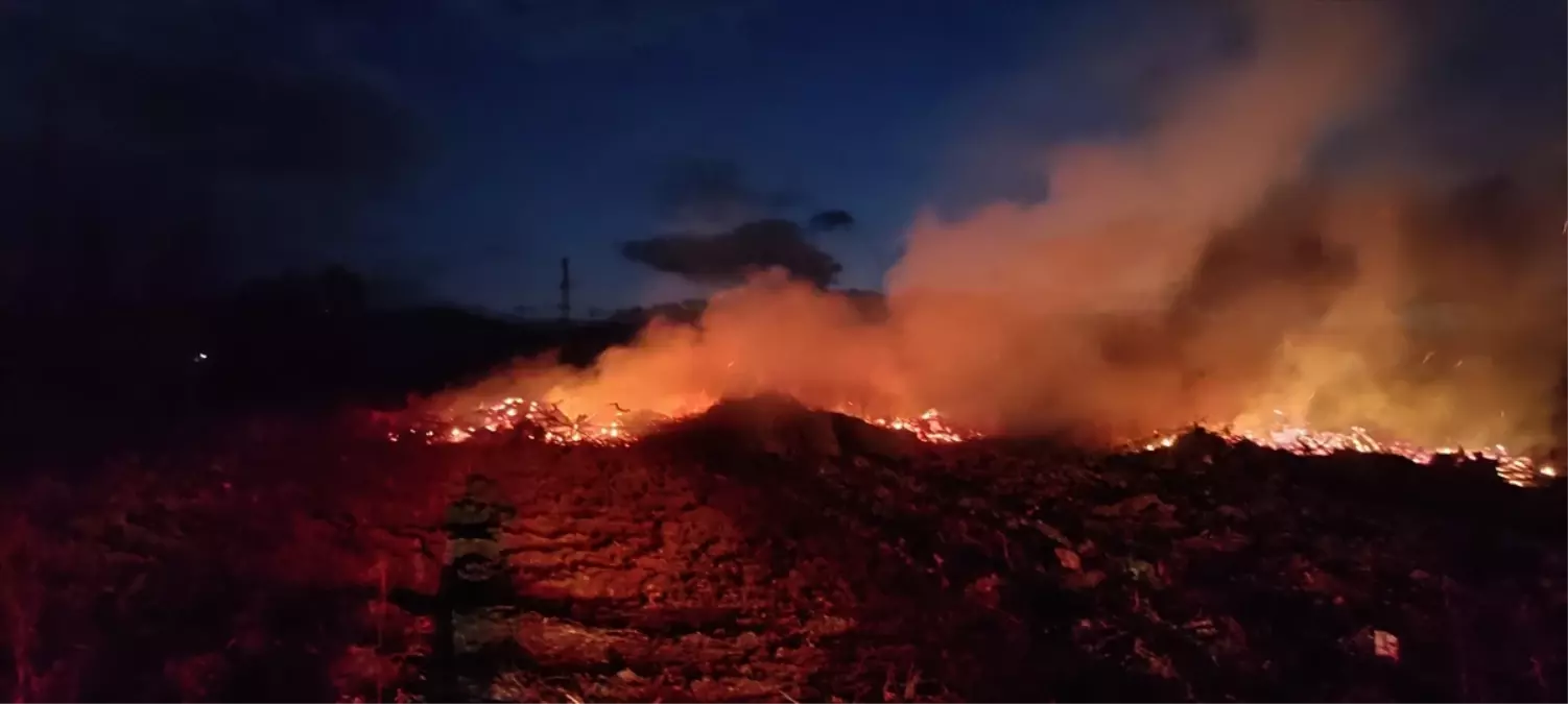 Bilecik'te Çiftlikte Yangın Çıktı