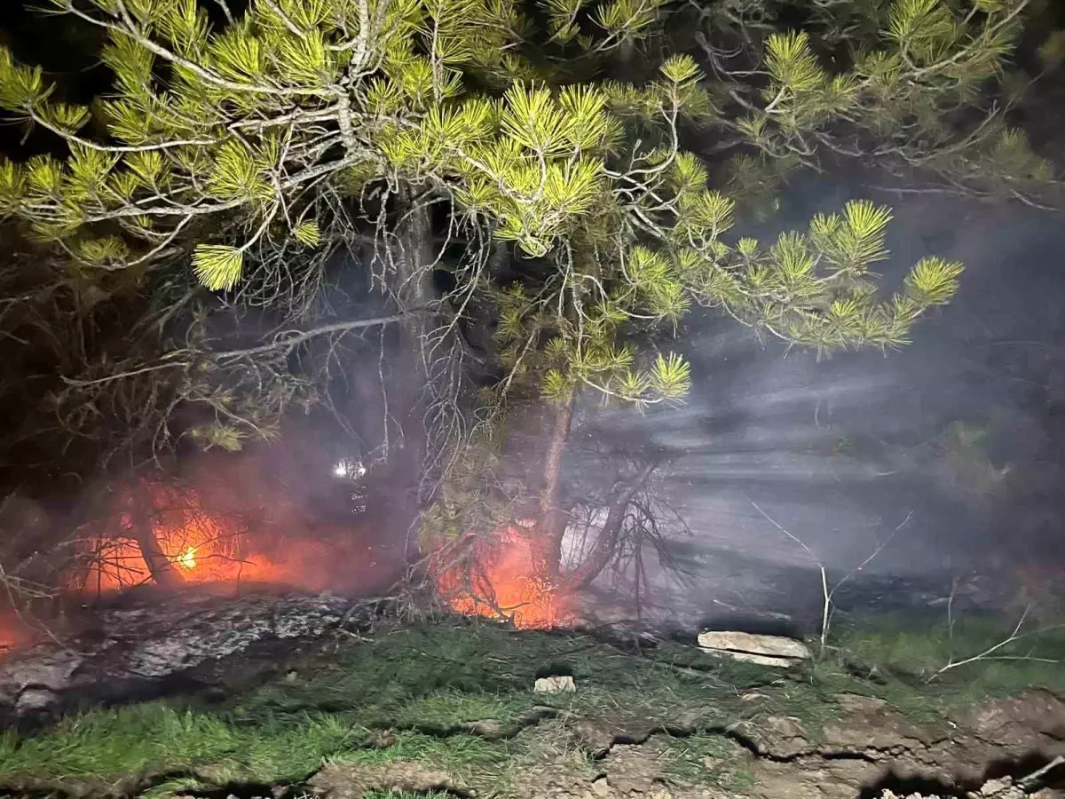 Mudurnu'da Orman Yangını Kontrol Altına Alındı