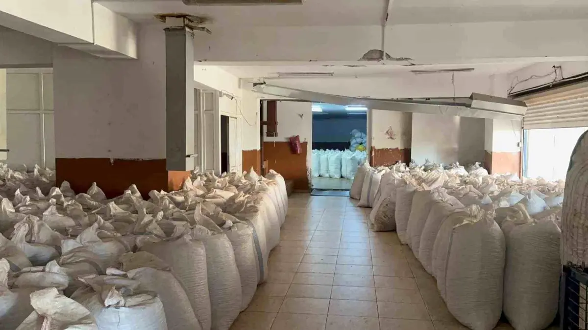 Fındık Fiyatlarında Durağanlık ve Gelecek Beklentileri