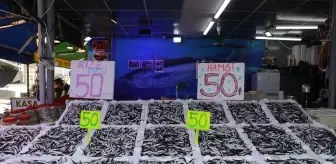 Rize'de Hamsi Fiyatları 50 Liraya Geriledi