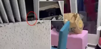 Yer: İstanbul! Düğün salonunda gizli kamera skandalı