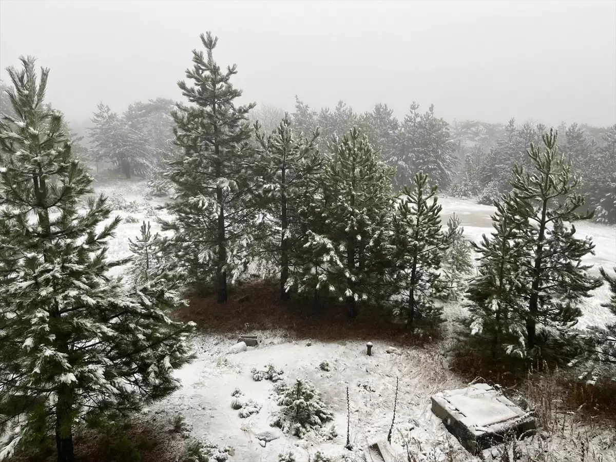 Balıkesir'in Sındırgı İlçesinde Kar Yağışı
