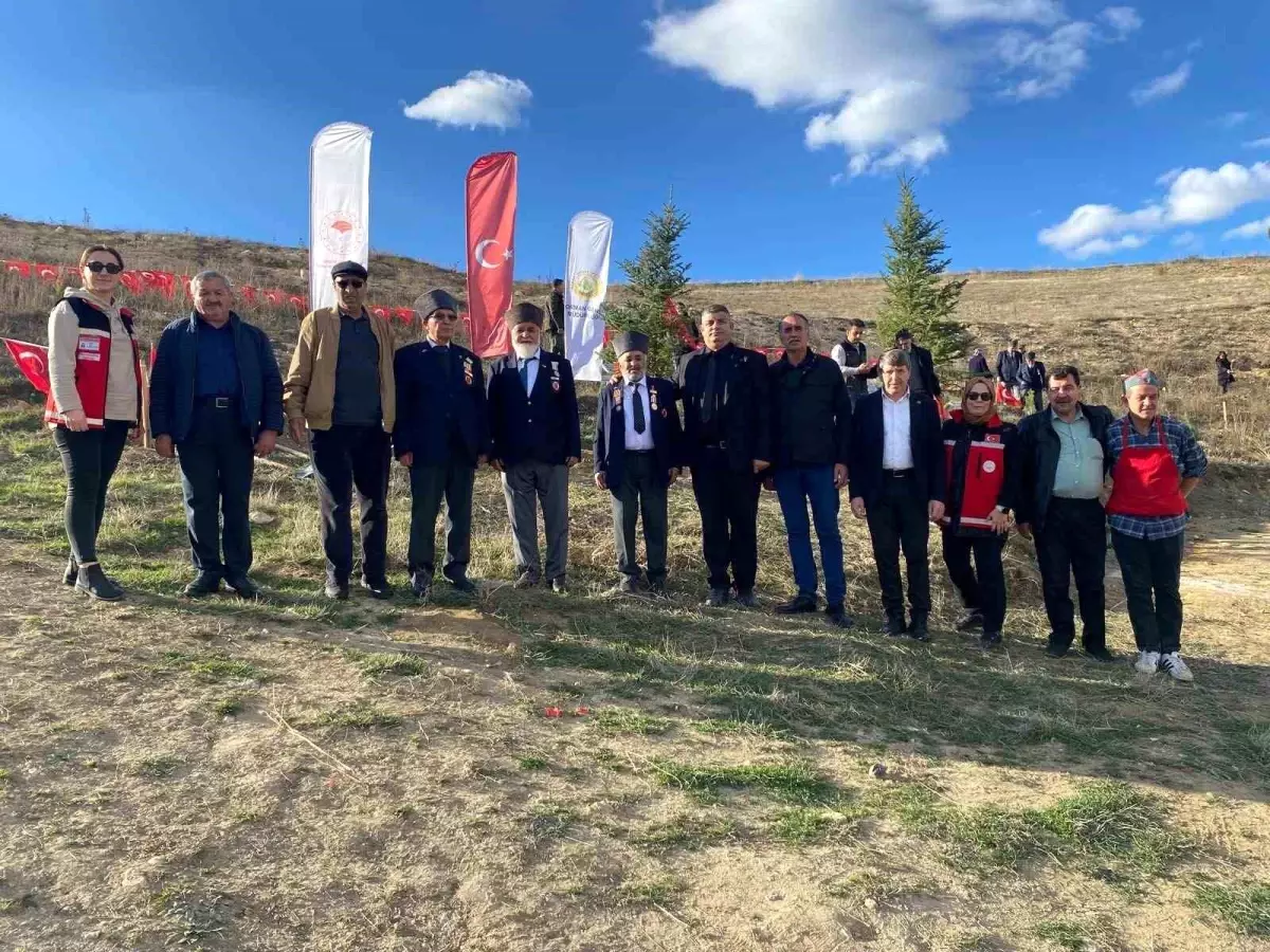 Bozüyük'te şehitler anısına fidan dikimi