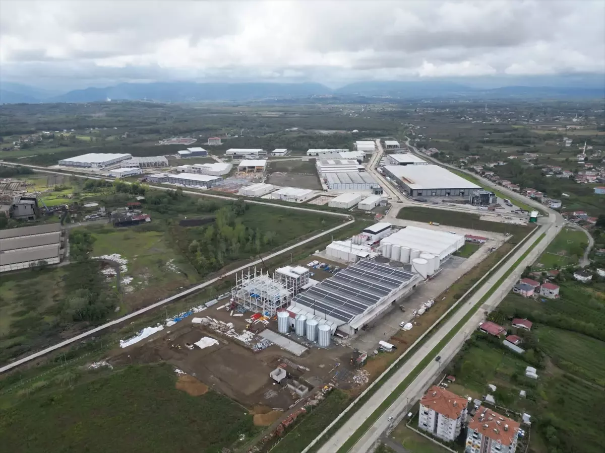 Çarşamba Organize Sanayi Bölgesi'nde İhracat Hız Kesmeden Devam Ediyor