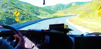 Dünya Şoförler Günü ne zaman? En güzel Dünya Şoförler Günü sözleri ve mesajları!