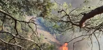 Hatay Belen'de Orman Yangınına Karadan Müdahale