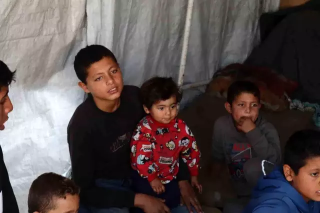 A grieving mother who lost 5 sons is taking care of her 36 grandchildren