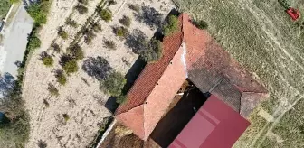 Ziraat Mühendisi Yılmaz, Ailesinin Hayvancılığını Başarıyla Devam Ettiriyor