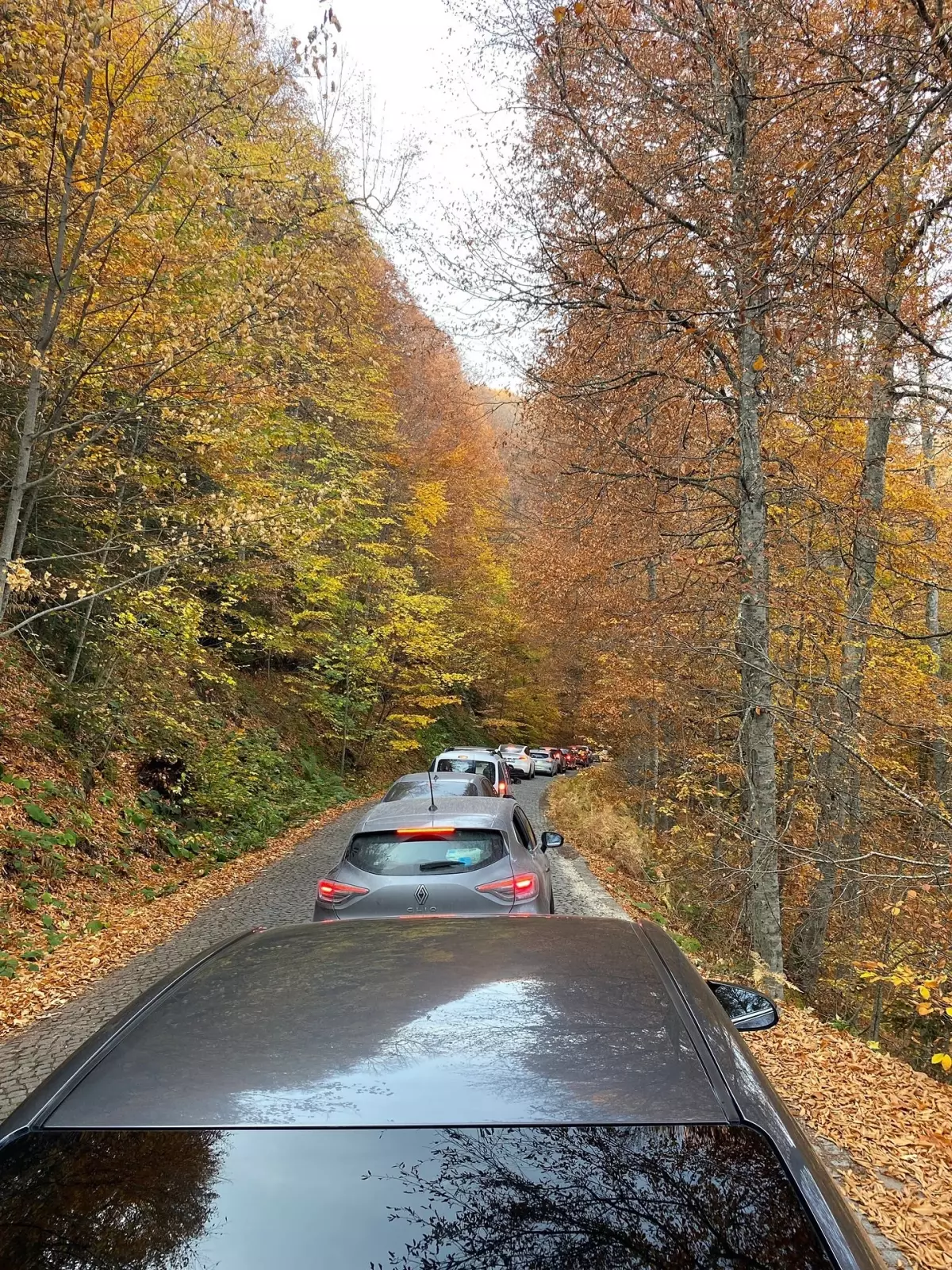 Yedigöller Milli Parkı&apos;nı 180 Bin Kişi Ziyaret Etti