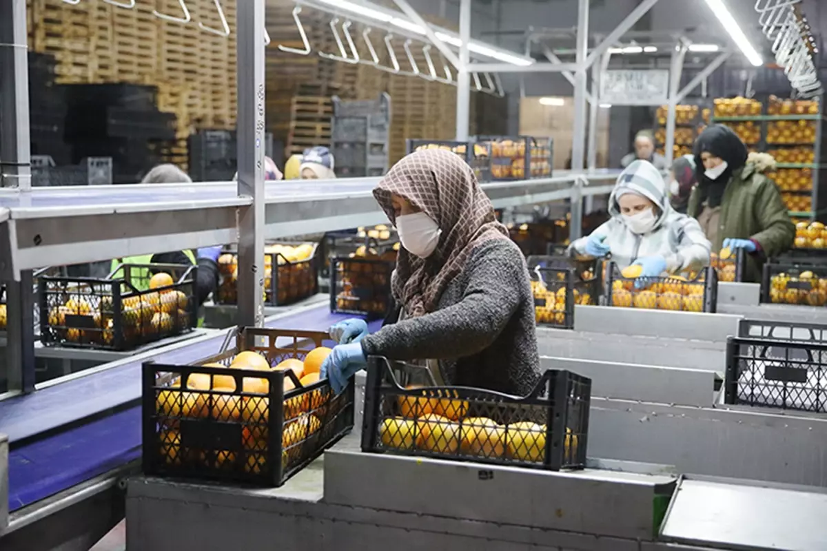 25 ülkeye ihracat yapıyordu! Türkiye'nin gıda devi iflasın eşiğinde