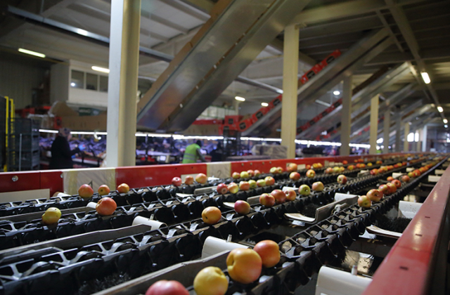 Exporting to 25 countries! Turkey's food giant on the brink of bankruptcy