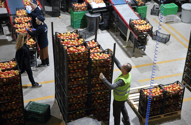 Exporting to 25 countries! Turkey's food giant on the brink of bankruptcy