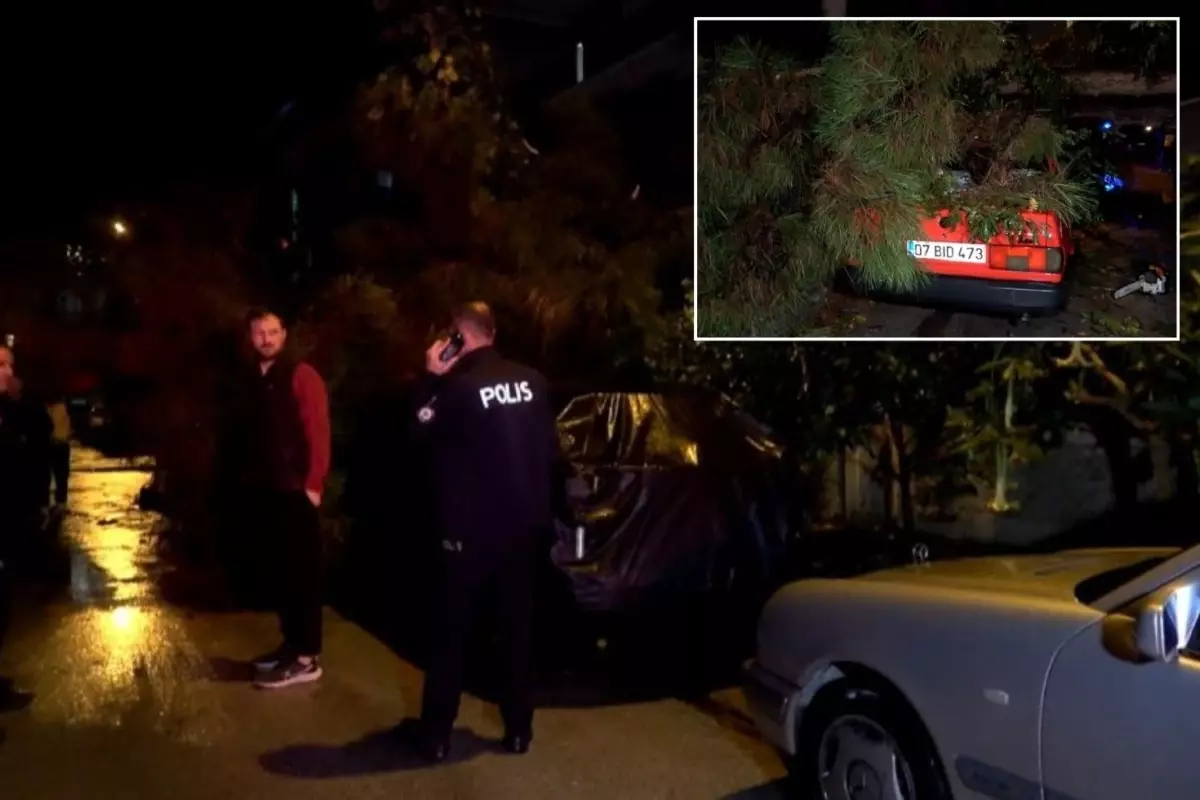 Antalya'da şiddetli rüzgar ağaç devirdi