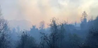 Artvin Hopa'da Örtü Yangınına Müdahale Ediliyor